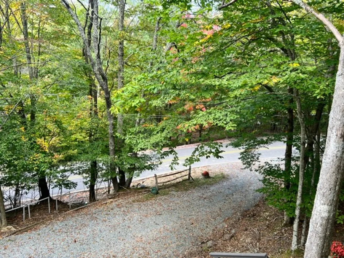 An exterior shot capturing a serene gravel pathway winding through dense trees, conveying the secluded, wooded setting around Wolfman Lodge. The tranquil mood hints at the seasonal variations guests will experience and the authentic mountain access.